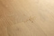 AVMPU40316_Structure_Drops.jpg.jpeg AVMPU40316_Structure_Drops.jpg.jpeg